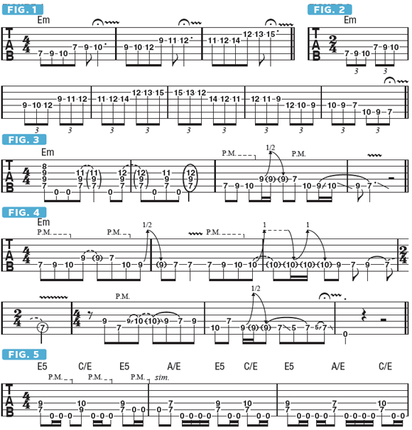 john petrucci wild stringdom