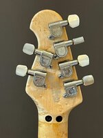 Headstock-Back.jpg